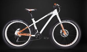 Fat Bikes