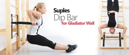 SUPLES DIP BAR  for Gladiator Wall