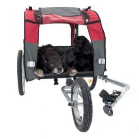 Bellelli pet trailer with jogging set